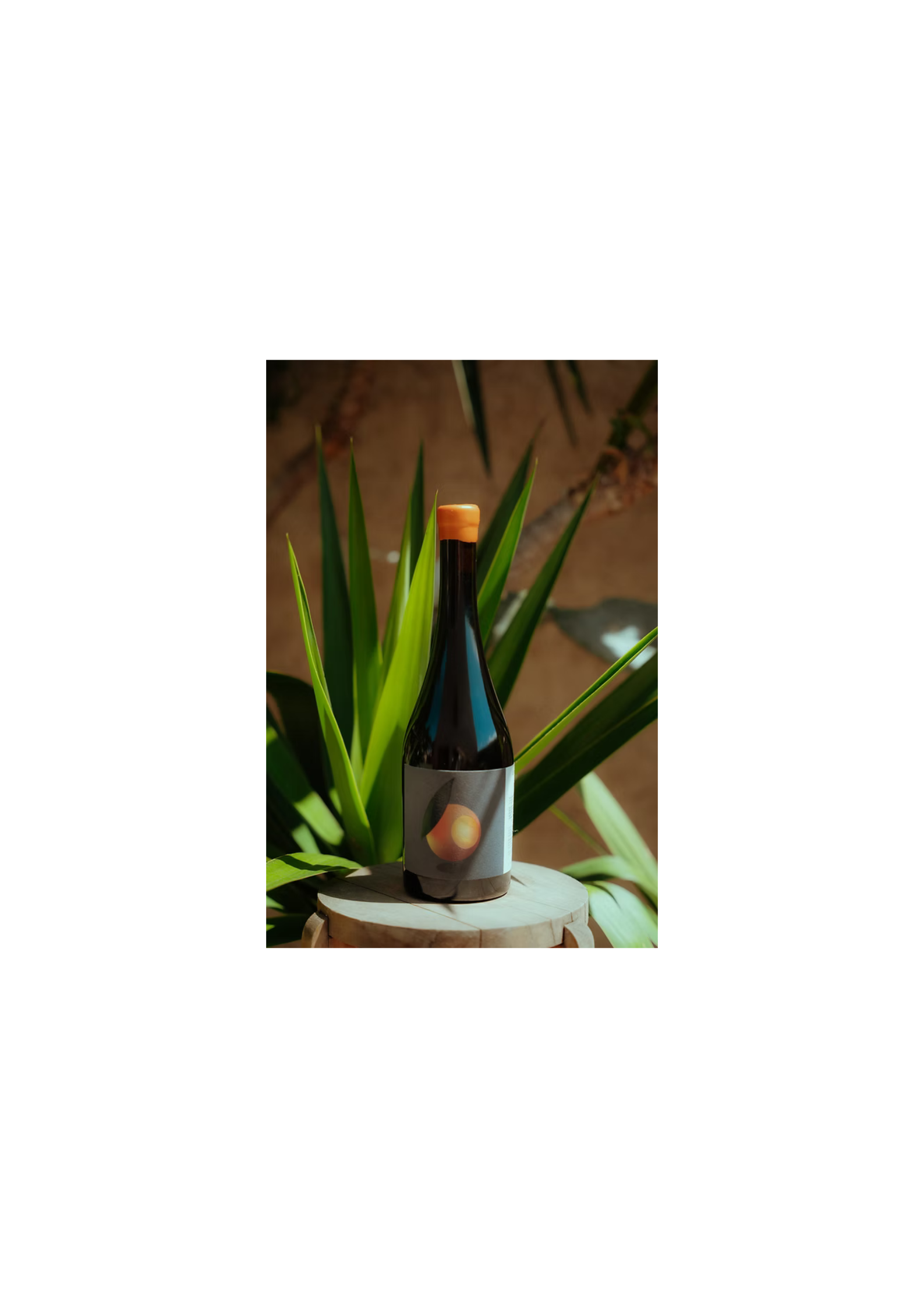 Petite Mandarine (Vin Orange)-Domaine Cuvons Lajoie