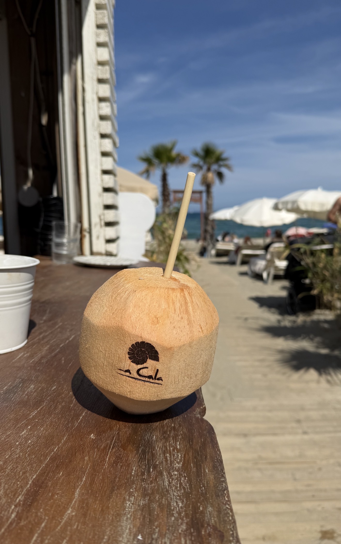 Noix de coco fraîche